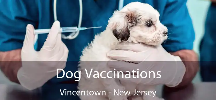 Dog Vaccinations Vincentown - New Jersey