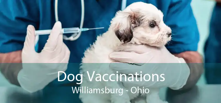 Dog Vaccinations Williamsburg - Ohio