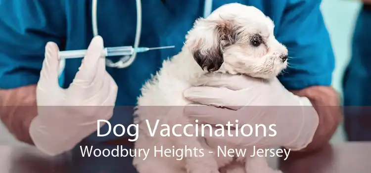 Dog Vaccinations Woodbury Heights - New Jersey