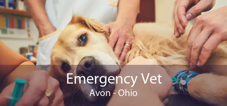 Emergency Vet Avon - Ohio