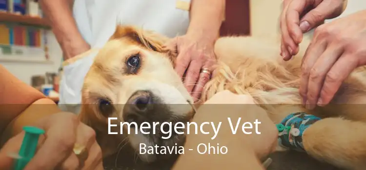 Emergency Vet Batavia - Ohio