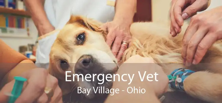 Emergency Vet Bay Village - Ohio