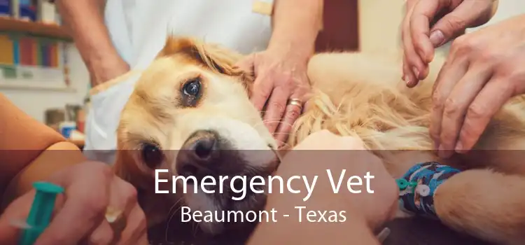 Emergency Vet Beaumont - Texas