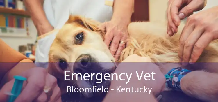 Emergency Vet Bloomfield - Kentucky