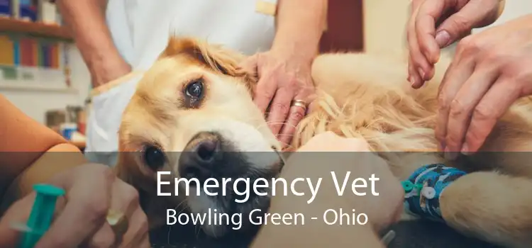 Emergency Vet Bowling Green - Ohio