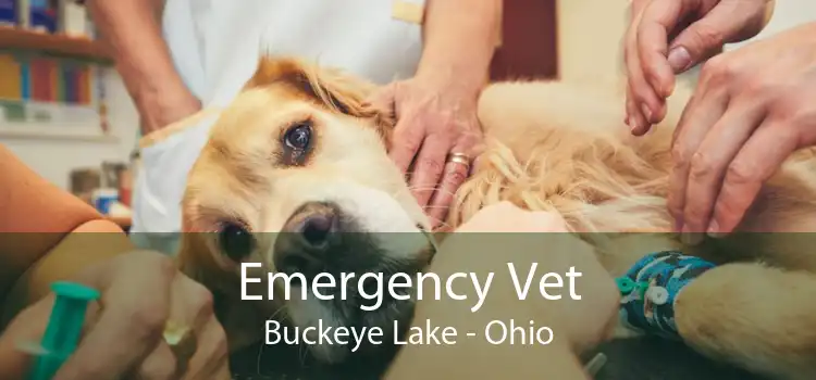 Emergency Vet Buckeye Lake - Ohio