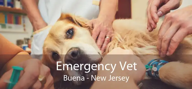 Emergency Vet Buena - New Jersey