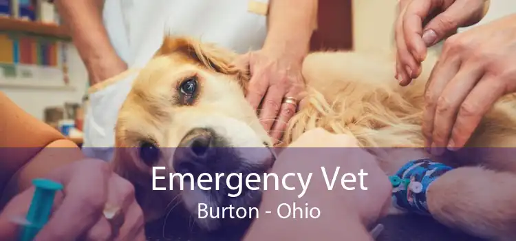 Emergency Vet Burton - Ohio