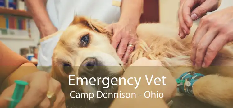 Emergency Vet Camp Dennison - Ohio