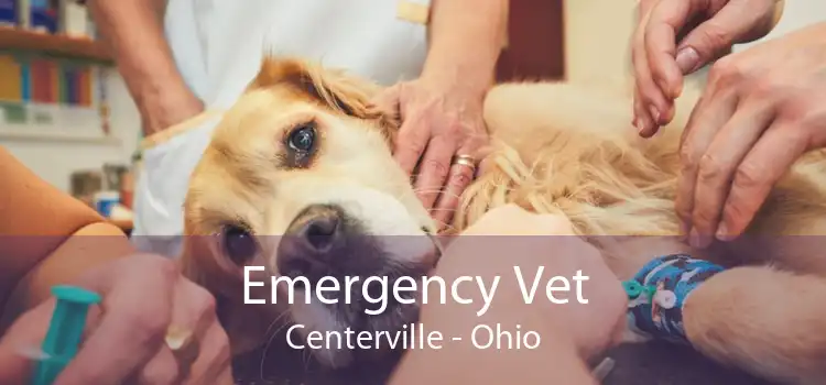 Emergency Vet Centerville - Ohio