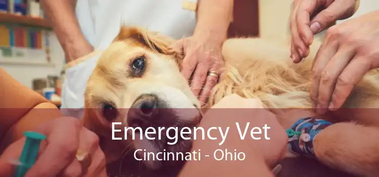 Emergency Vet Cincinnati - Ohio