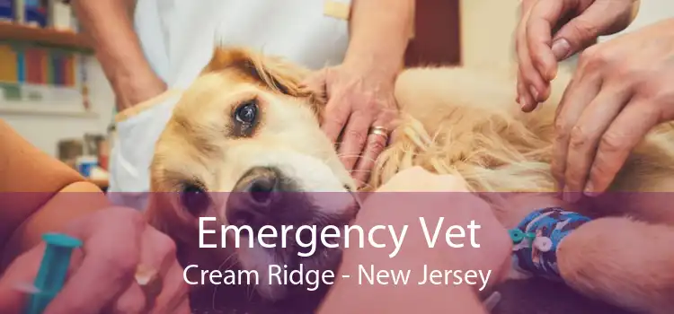 Emergency Vet Cream Ridge - New Jersey