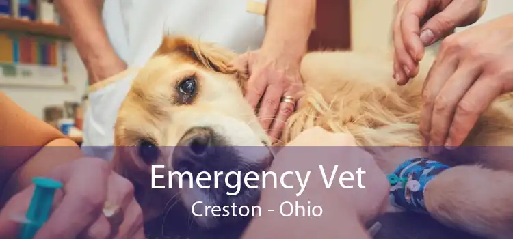 Emergency Vet Creston - Ohio