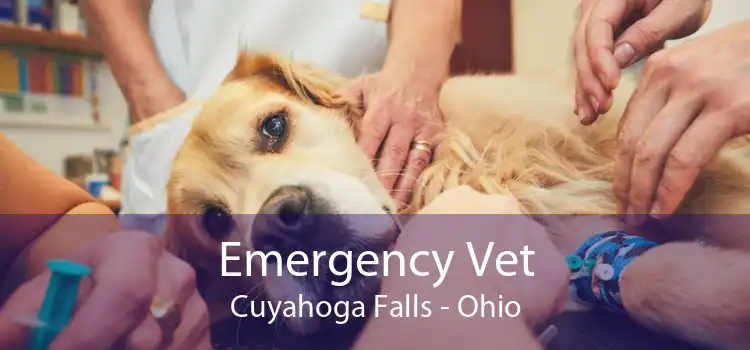 Emergency Vet Cuyahoga Falls - Ohio