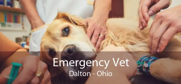 Emergency Vet Dalton - Ohio