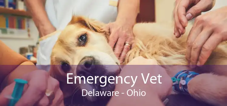 Emergency Vet Delaware - Ohio