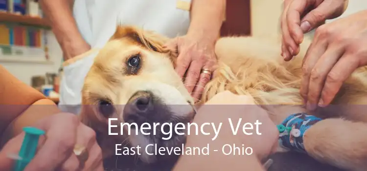 Emergency Vet East Cleveland - Ohio