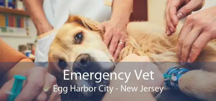 Emergency Vet Egg Harbor City - New Jersey