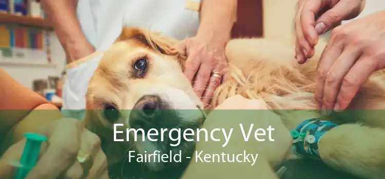 Emergency Vet Fairfield - Kentucky