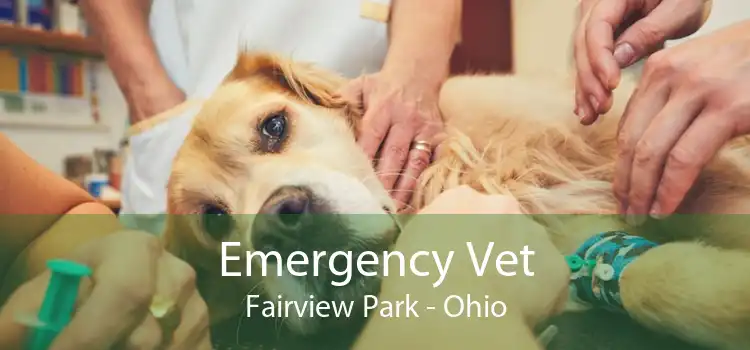 Emergency Vet Fairview Park - Ohio