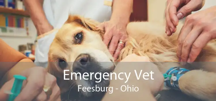 Emergency Vet Feesburg - Ohio