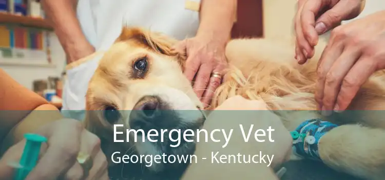 Emergency Vet Georgetown - Kentucky