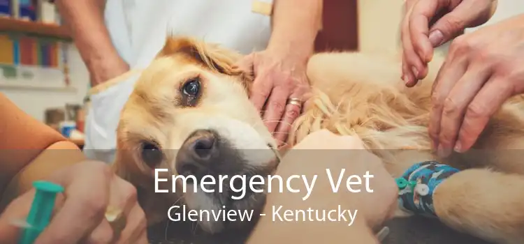 Emergency Vet Glenview - Kentucky