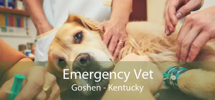 Emergency Vet Goshen - Kentucky