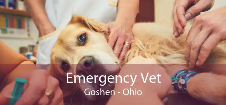 Emergency Vet Goshen - Ohio