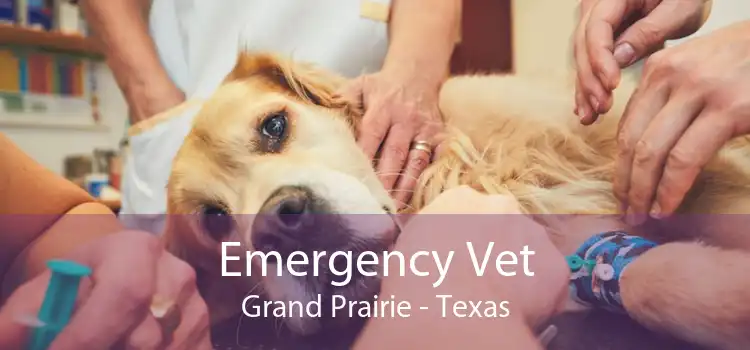 Emergency Vet Grand Prairie - Texas