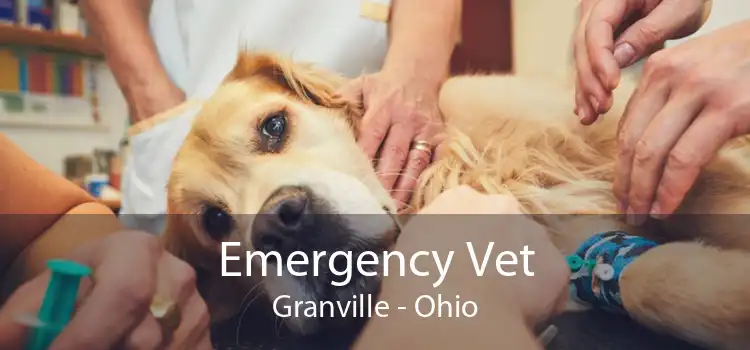 Emergency Vet Granville - Ohio