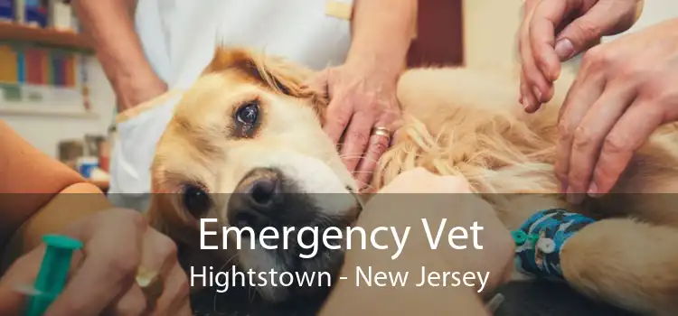 Emergency Vet Hightstown - New Jersey