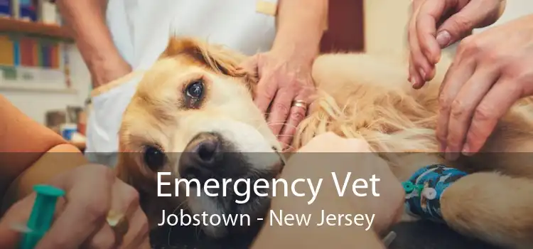 Emergency Vet Jobstown - New Jersey