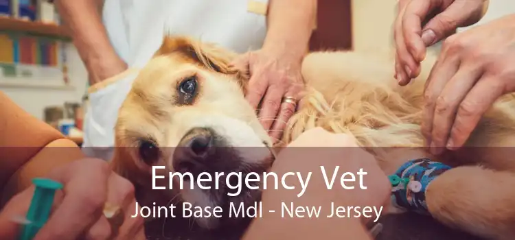 Emergency Vet Joint Base Mdl - New Jersey