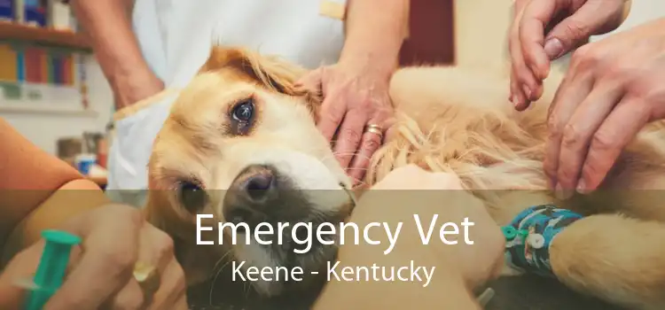 Emergency Vet Keene - Kentucky