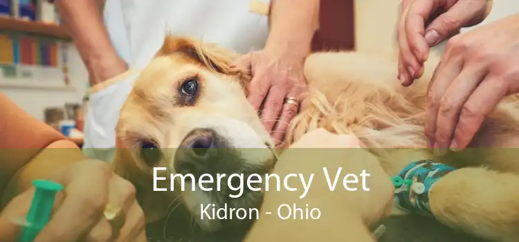 Emergency Vet Kidron - Ohio