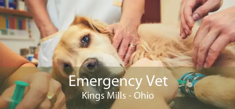 Emergency Vet Kings Mills - Ohio