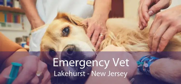 Emergency Vet Lakehurst - New Jersey