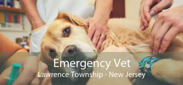 Emergency Vet Lawrence Township - New Jersey