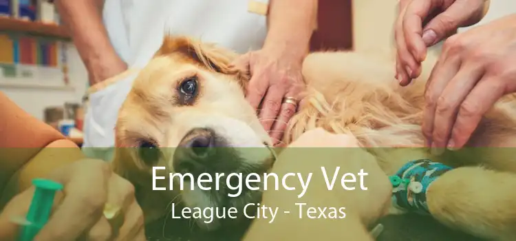 Emergency Vet League City - Texas