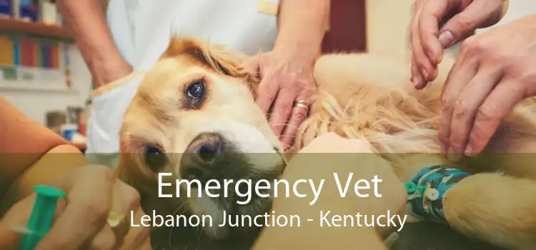 Emergency Vet Lebanon Junction - Kentucky