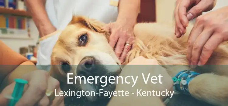 Emergency Vet Lexington-Fayette - Kentucky