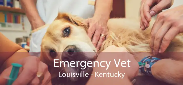 Emergency Vet Louisville - Kentucky