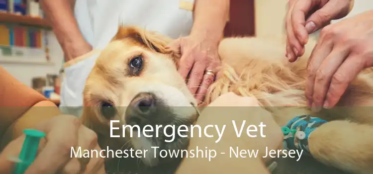 Emergency Vet Manchester Township - New Jersey