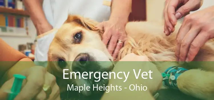 Emergency Vet Maple Heights - Ohio