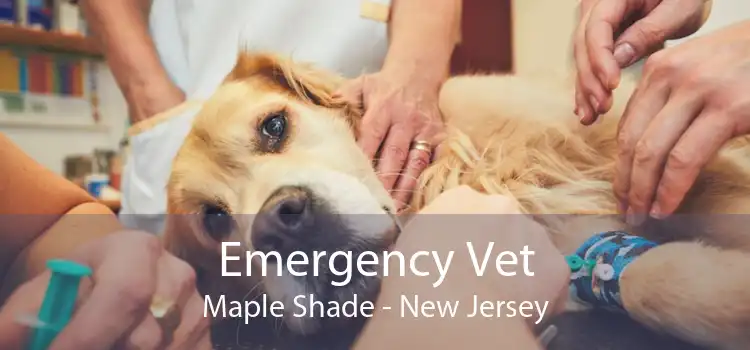 Emergency Vet Maple Shade - New Jersey
