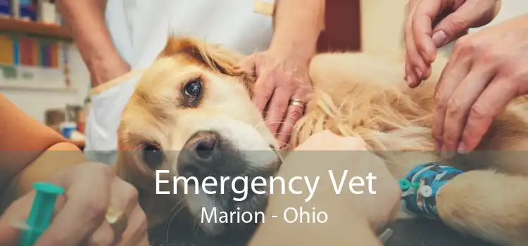 Emergency Vet Marion - Ohio