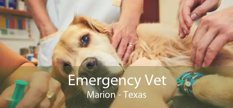 Emergency Vet Marion - Texas