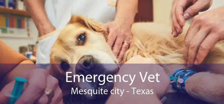 Emergency Vet Mesquite city - Texas