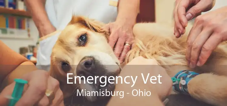 Emergency Vet Miamisburg - Ohio